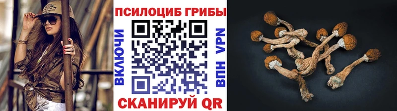 купить наркотики сайты  Славгород  Псилоцибиновые грибы Magic Shrooms 
